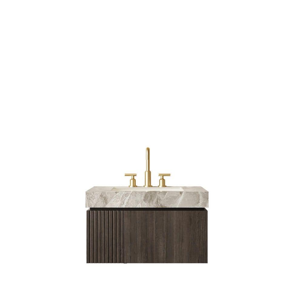30 in. Single Sink Wall Mounted Bath Vanity in Espresso Woodgrain with Light Gray Sintered Stone Top price history on PriceWatchPro