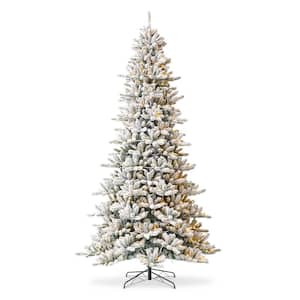 10 ft. Pre-Lit Flocked Full-Size Fir Artificial Christmas Tree with 750 Warm White Lights