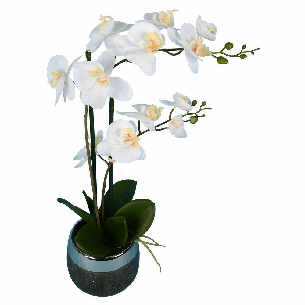 23" White Phalaenopsis Orchid in Metal Pot