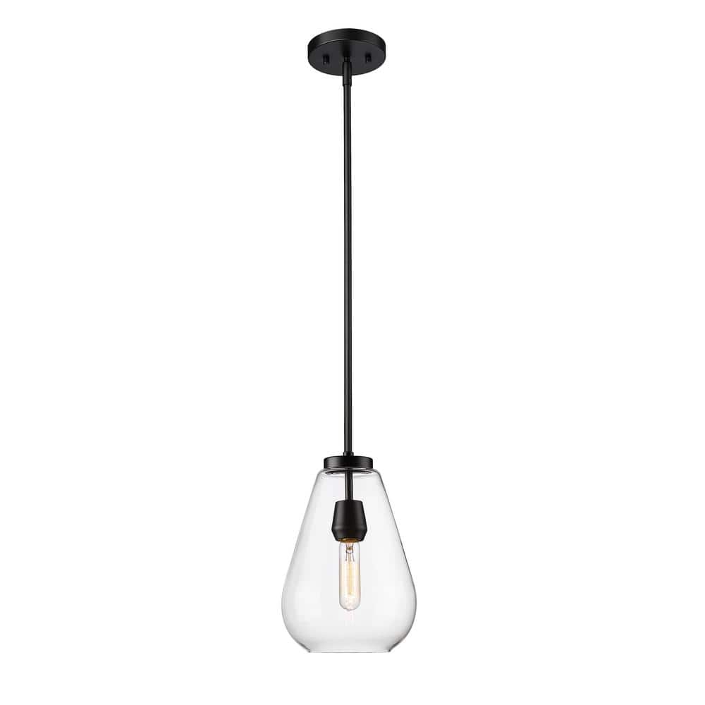 Ayra Matte Black and Nickel Glass Pendant Light