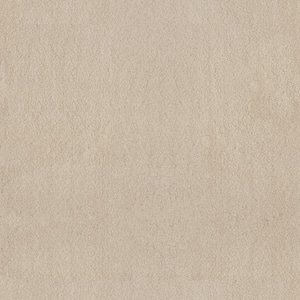 Dreamy Daze II Caspian Beige 66 oz. Nylon Texture Installed Carpet