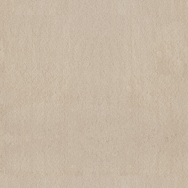 Lifeproof Dreamy Daze II Caspian Beige 66 oz. Nylon Texture Installed Carpet
