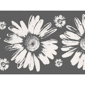 Falkirk Dandy II Grey White Sunflowers Floral Peel and Stick Wallpaper Border