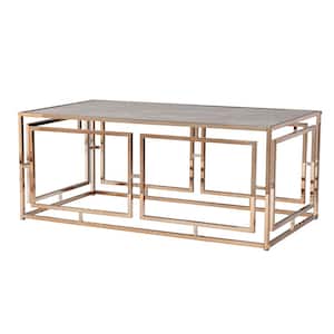 Erikka 24 in. Rectangle Faux Marble Champagne Coffee Table