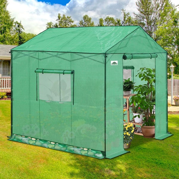 8 x 8 Portable Pop-Up Greenhouse, Walk-In Outdoor Garden Plant Greenhouse