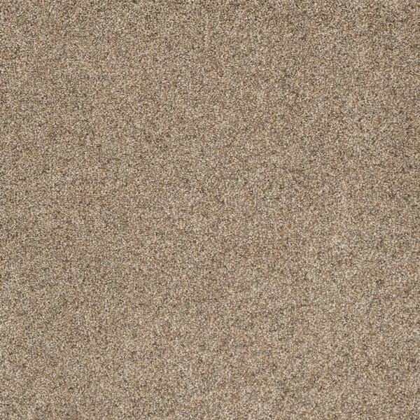 Home Decorators Collection Bradmore II - Fresh - Beige 60 oz. SD Polyester Texture Installed Carpet