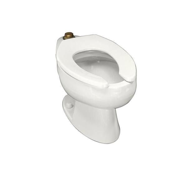 KOHLER Wellcomme Elongated Toilet Bowl Only in White