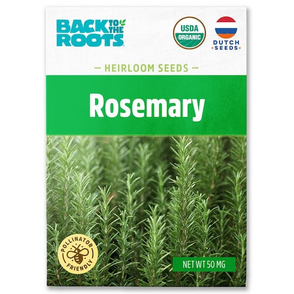 Organic Rosemary Seed
