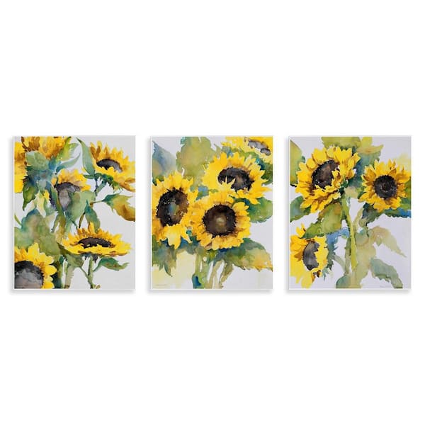 Stupell Industries Blooming Country Sunflowers by Theresa Troise Heidel 3 Pieces Unframed Nature Graphic Art Print 14 in. x 11 in.