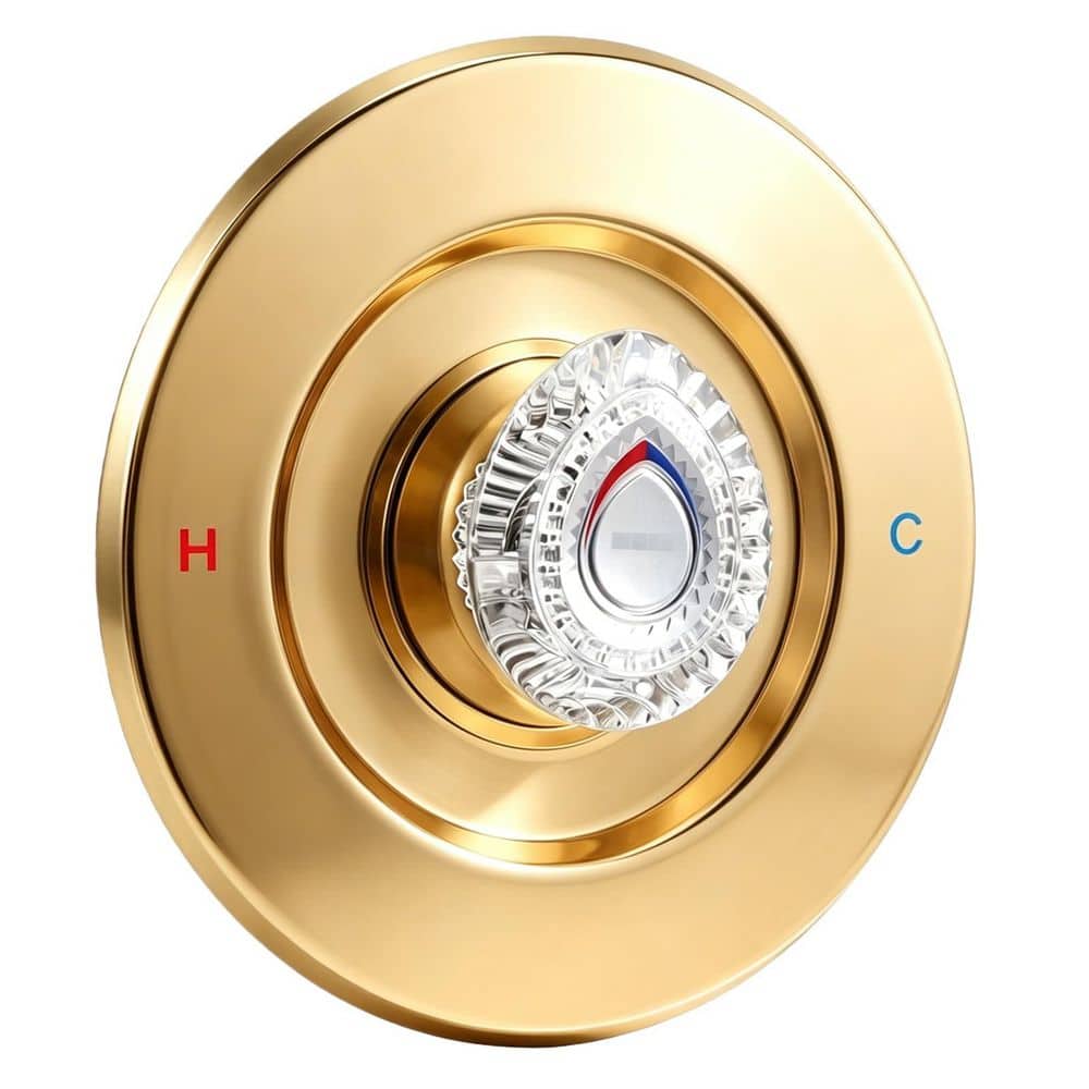 T470 Gold Shower Trim Kit for Single-Handle Tub and Shower Valve, Stainless Steel and Acrylic with Escutcheon price history on PriceWatchPro