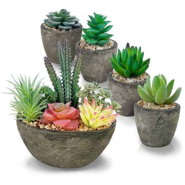 fertilizer for potted plants Dynamite Houseplant Slow-Release Fertilizer (10-10-17) – littleorchidannie