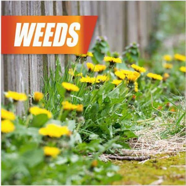 Weed, Brush and Vine Killer, 1 Gal. Ready-to-Use with Nested Trigger