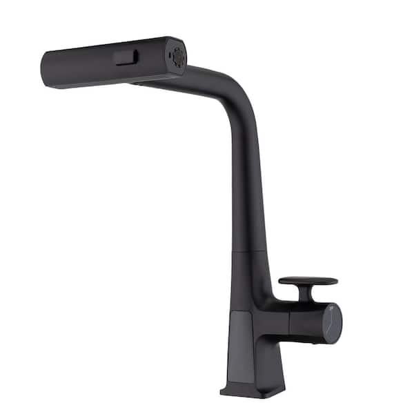 Boyel Living Single Handle Pull Down Sprayer Kitchen Faucet 360° Rotation in Matte Black