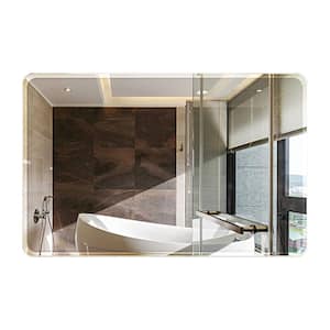 20 in. W x 28 in. L Single Frameless Bathroom Wall Mirror