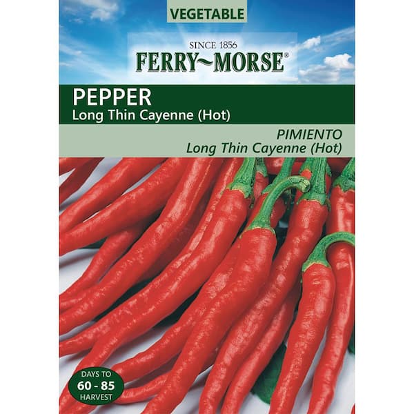 Ferry-Morse Long Thin Cayenne Hot Pepper Seed