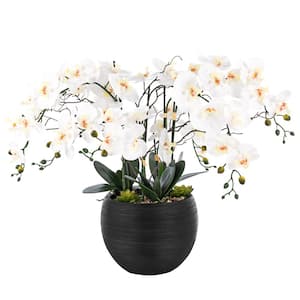 36.22 in. H Artificial Phalaenopsis Orchids Floral Arrangement in Pot