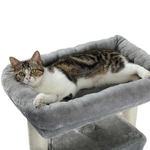 Pets at home cat beds best sale