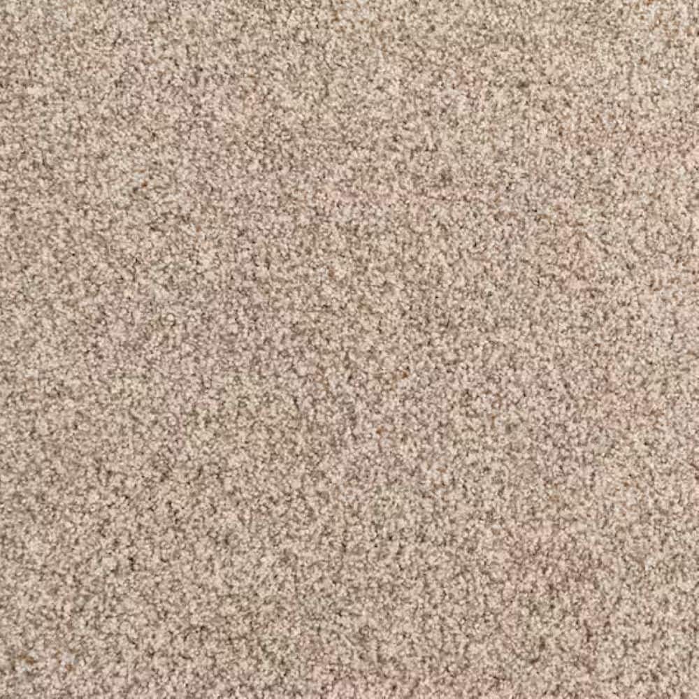 8 in. x 8 in. Texture Carpet Sample-Heartfelt Fashion-Color Harmonious price history on PriceWatchPro
