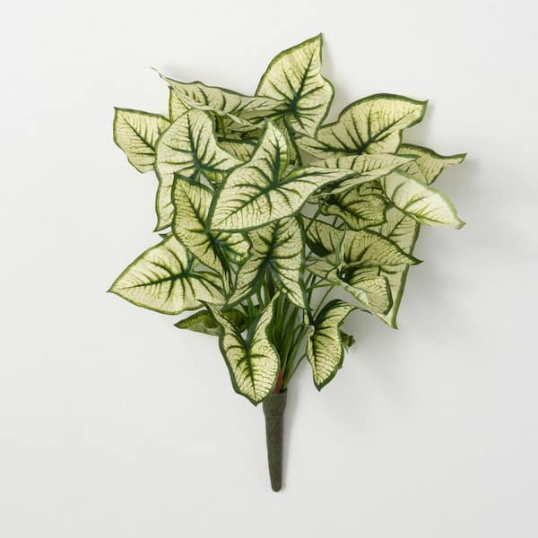 SULLIVANS Artificial 19 in. Green Syngonium Variegated Leaf Bush