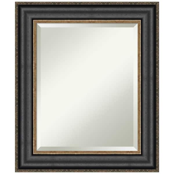 Thomas 21.75 in. x 25.75 in. Modern Rectangle Framed Black Bronze Bathroom Vanity Mirror