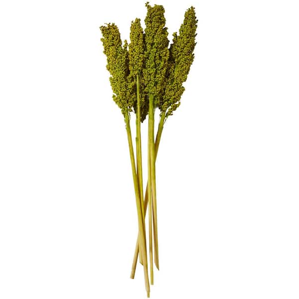 Litton Lane Corn Maze Natural Foliage with Long Stems (One Bundle)