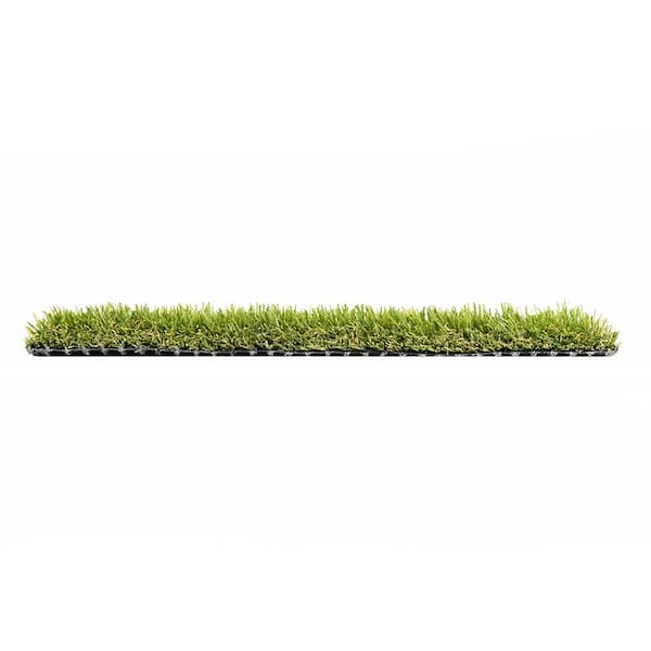 Eco 56 (1 ft. x 1 ft. Sample Square)