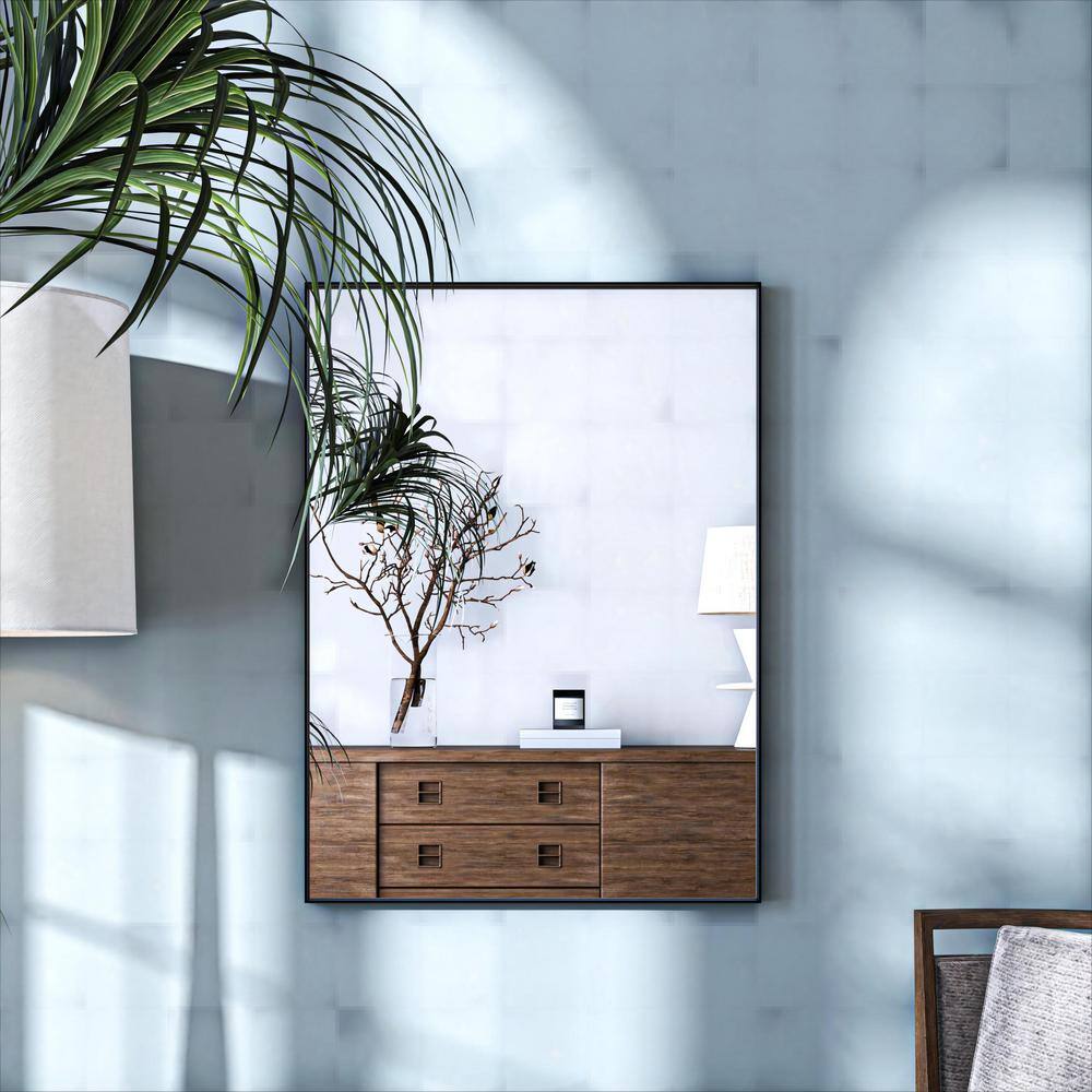 ORGANNICE 22 in. W x 30 in. H Black Rectangle Framed Tempered Glass