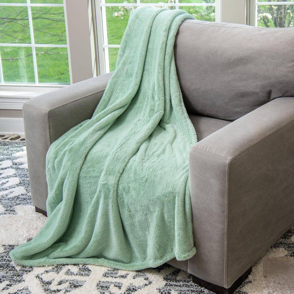 HGTV Super Luxe Faux Fur Quietude-Sage Green Throw Blanket price history on PriceWatchPro