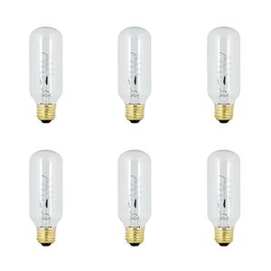 40-Watt T14 Dimmable Incandescent Amber Glass Vintage Edison Light Bulb with Spiral Filament Soft White (6-Pack)