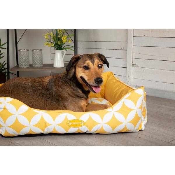 scruffs extra large dog beds