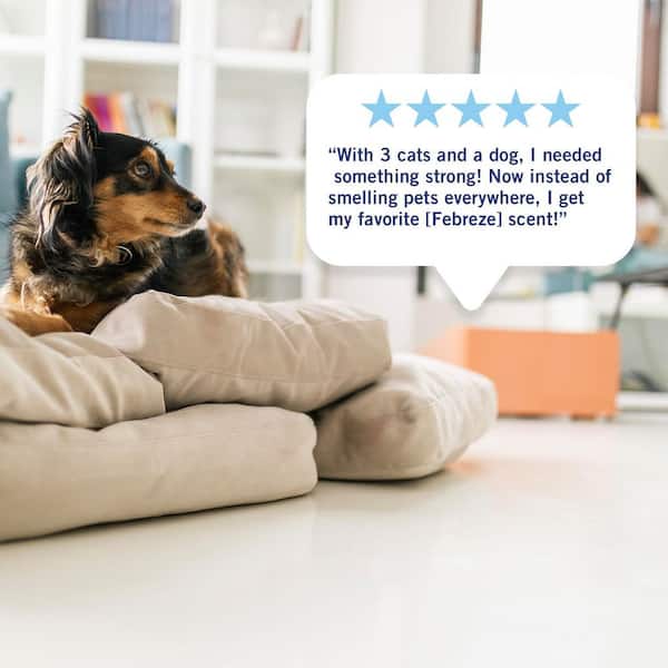 Heavy-Duty Crisp Clean Scented Oil Plug-In Automatic Air Freshener Refill (2-Count)