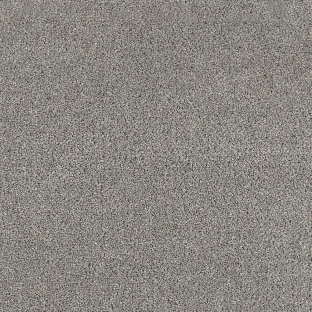 8 in. x  8 in. Texture Carpet Sample - Moonlight -Color Stream price history on PriceWatchPro