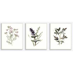 10 in. x 15 in. "Purple and White Floral Botanical Illustrations" by Artist Lettered and Lined Wood Wall Art(3-pieces)