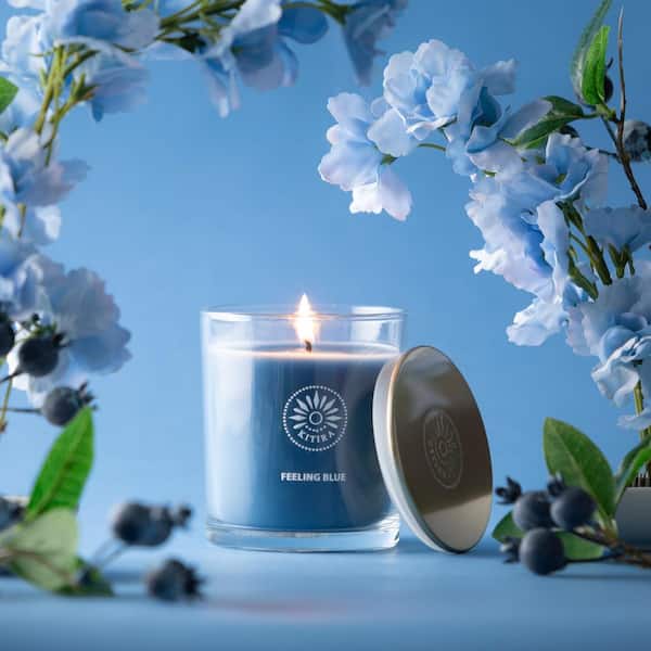 Vance Kitira Feeling Blue Mint and Coconut Scented Single Wick Jar Candle, 60-Hour Burn Time