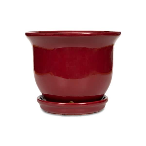 Buy Ceramic pots for cooking “Magic cranberry” online