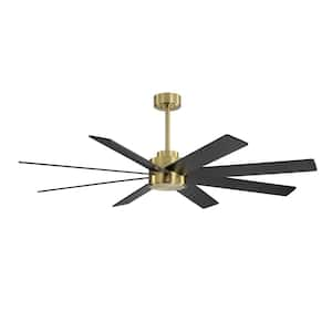 60 in. 8-Plywood Blades Black and Gold Indoor Ceiling Fan with Remote