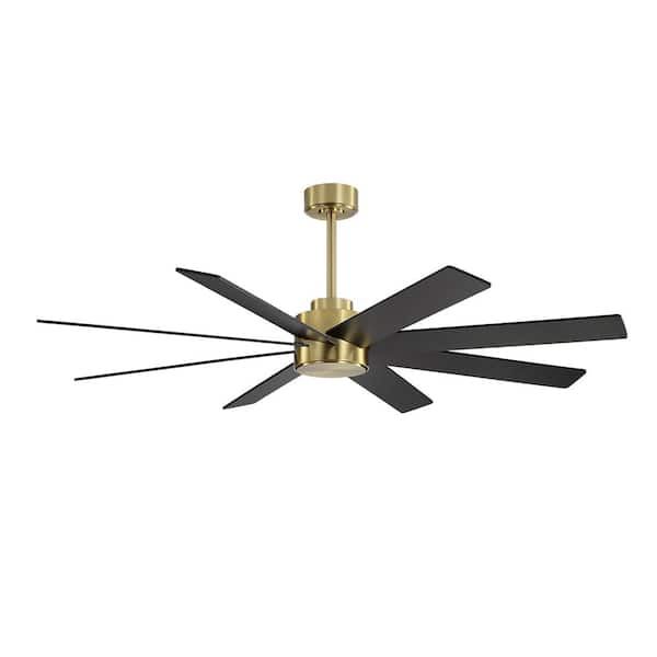 MLiAN 60 in. 8-Plywood Blades Black and Gold Indoor Ceiling Fan with Remote