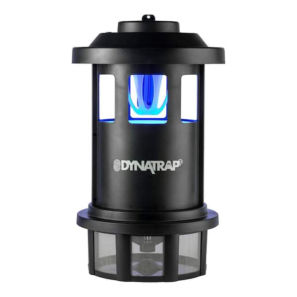 DynaTrap® Flylight Indoor Insect Trap - Black