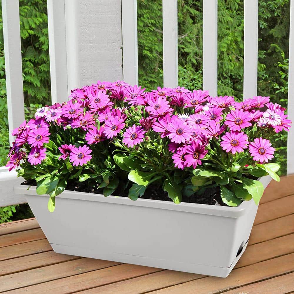 Gray Plastic Rectangular Window Box Planter with Drainage Holes