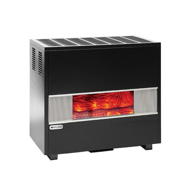 65,000 BTU Fireplace Front Liquid Propane Gas Room Heater with Blower