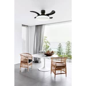 Orbit 36 in. Matte Black Indoor/Outdoor Remote Control Ceiling Fan with Light