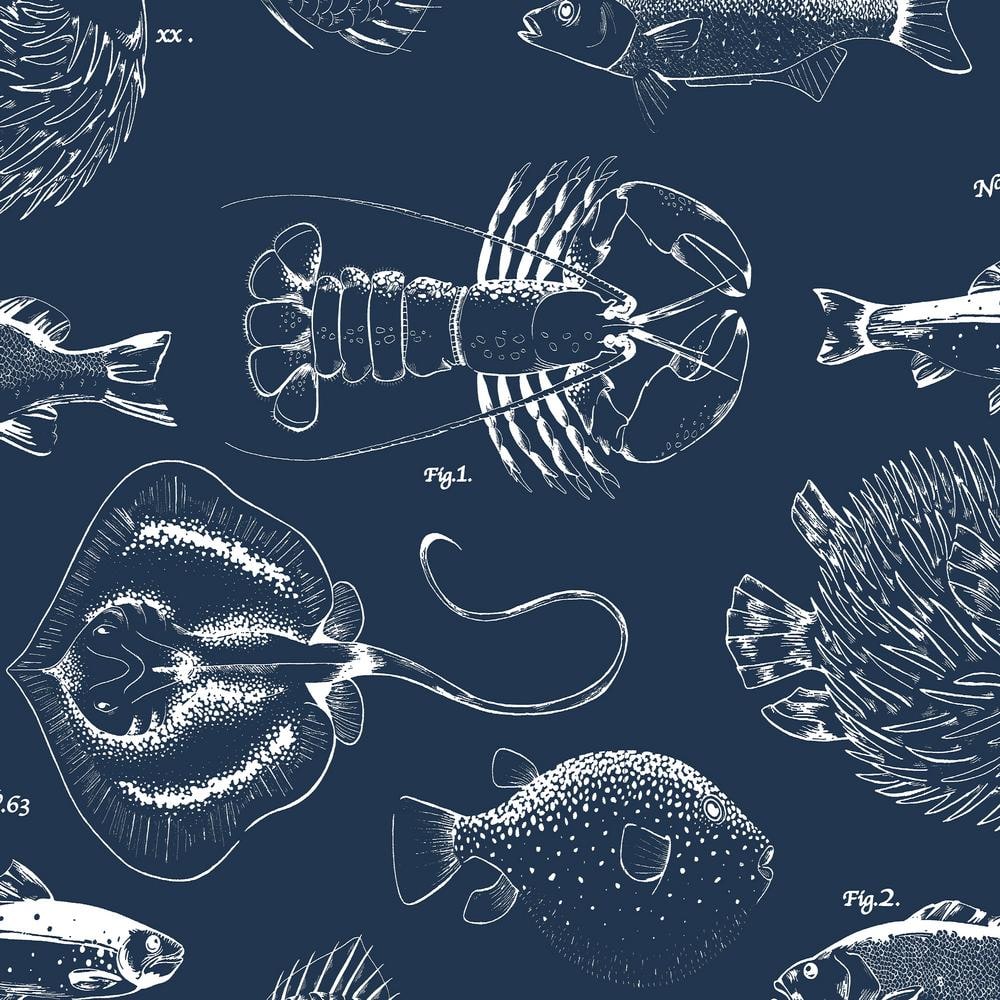 TRANSFORM Under The Sea Blue Removable Peel and Stick Wallpaper 120487 ...