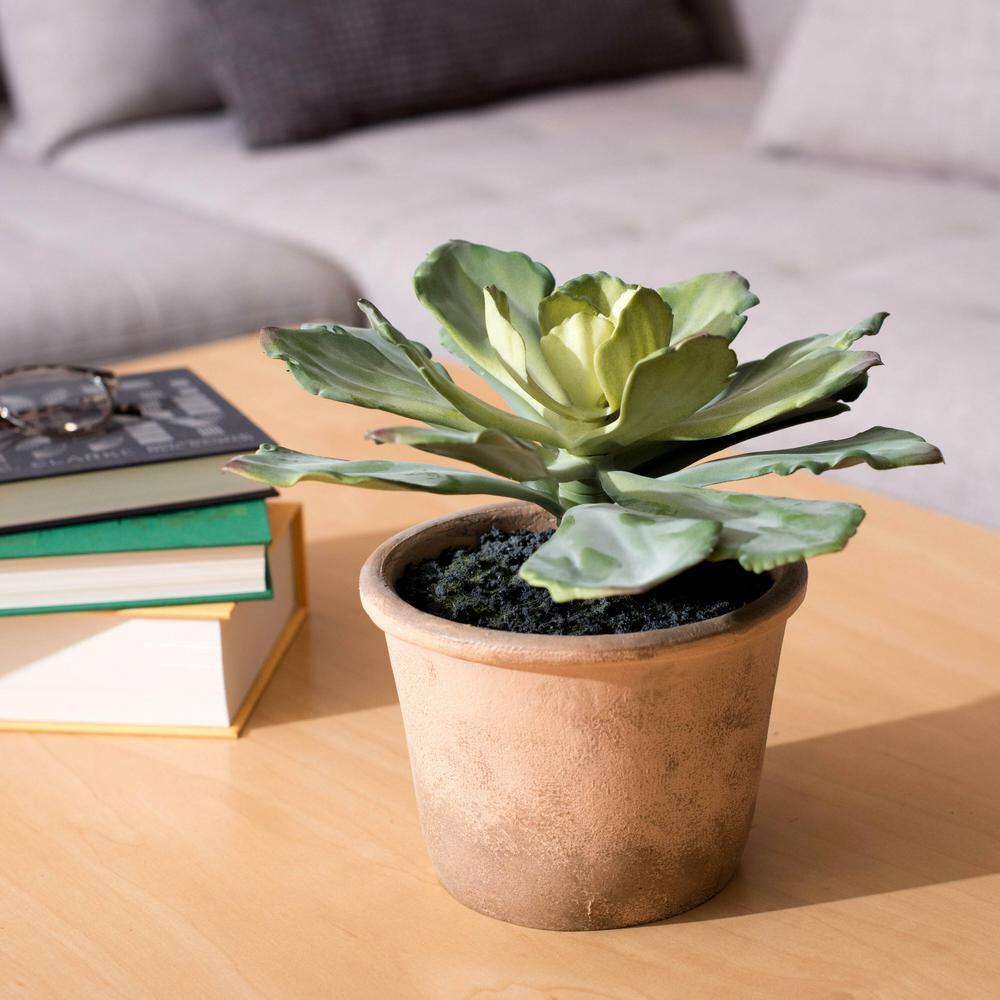 9" Green Faux Succulent in Brown Paper Pot