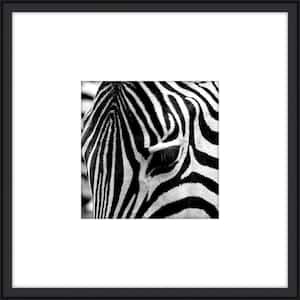 Zebra III Framed Giclee Animal Art Print 20 in. x 20 in.