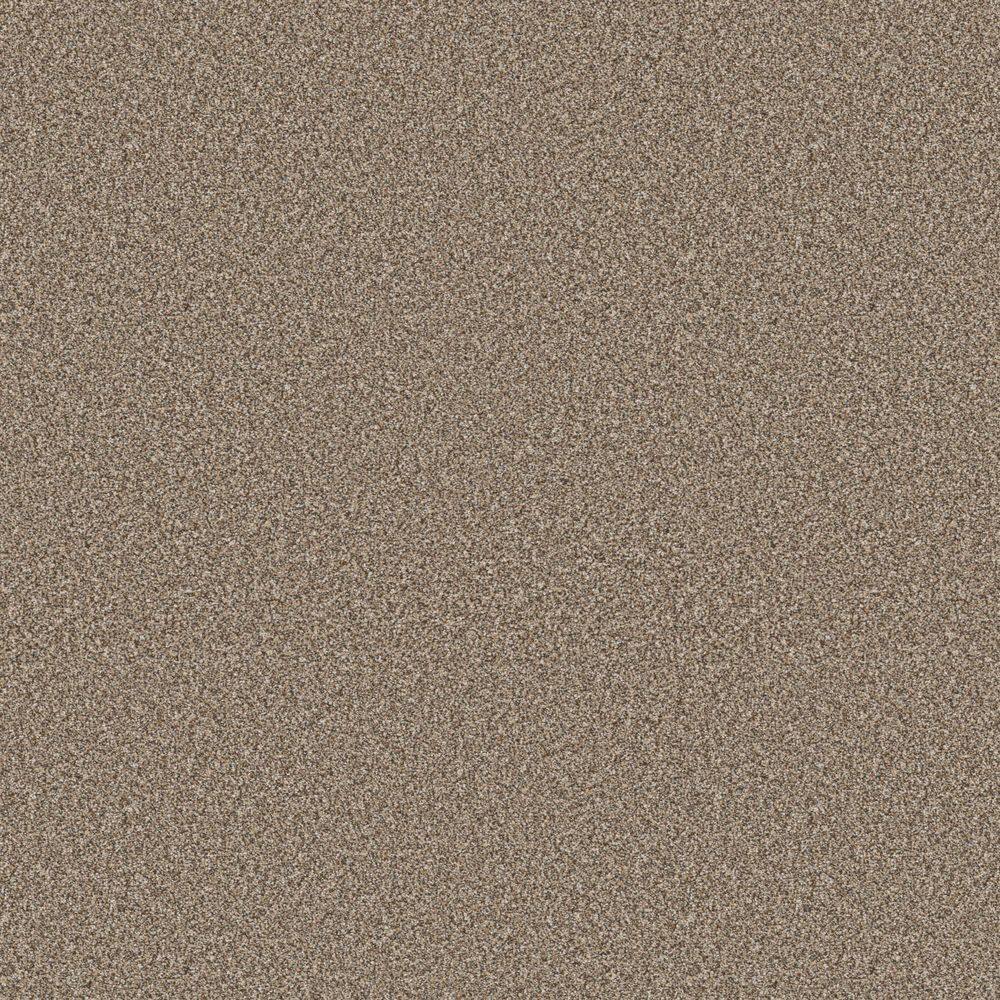 8 in. x 8 in. Texture Carpet Sample - Cuddle Cakes III - Color Sisal price history on PriceWatchPro