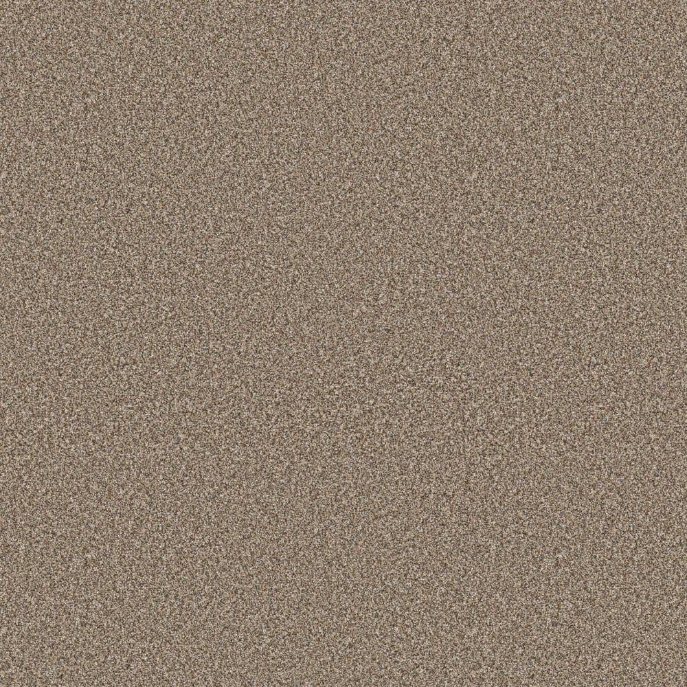 8 in. x 8 in. Texture Carpet Sample - Cuddle Cakes II - Color Sisal price history on PriceWatchPro