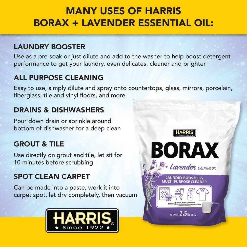 Buy 2.5 lbs. Borax Laundry Booster and MultiPurpose Cleaner with