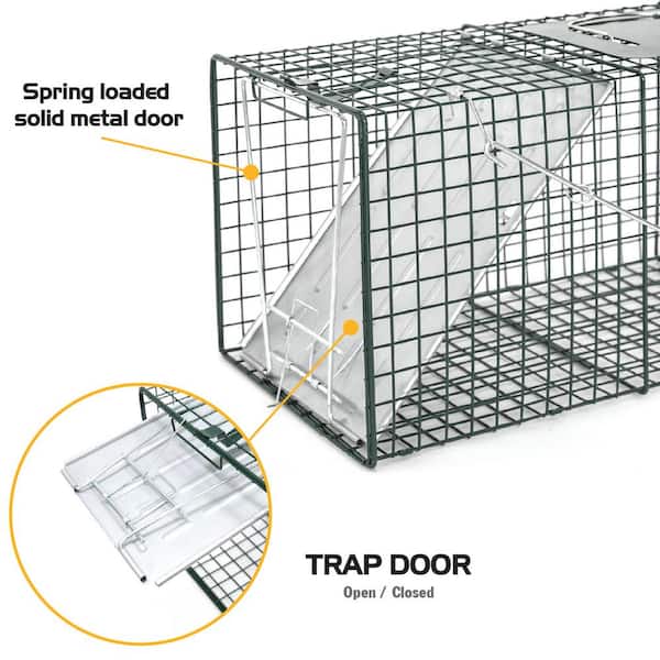 large box traps