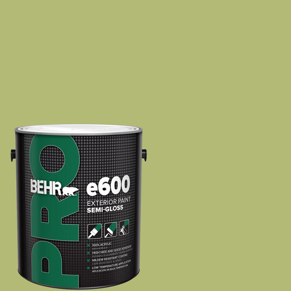 1 gal. #410D-4 Asparagus Semi-Gloss Exterior Paint price history on PriceWatchPro