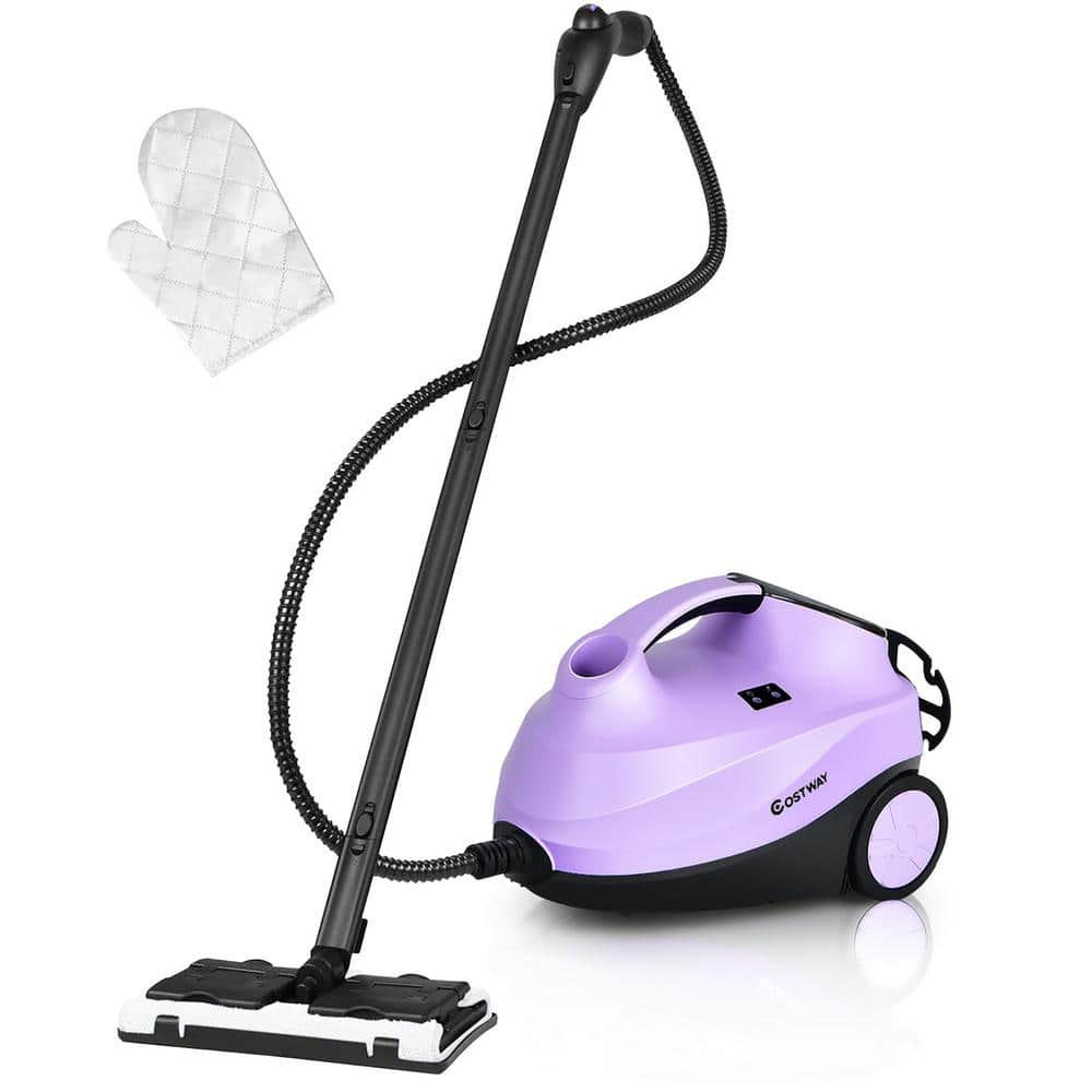 This Steam Cleaner Is on Sale with Double Discounts at